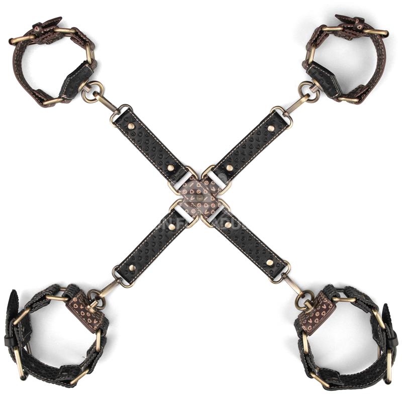Rebellion Reign Ataduras Hogtie